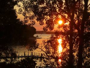 11737174_10153220116776144_1480768747_n