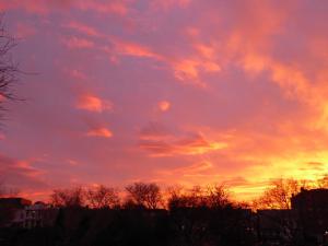 12313986_10153494025481144_1793599307426781565_n