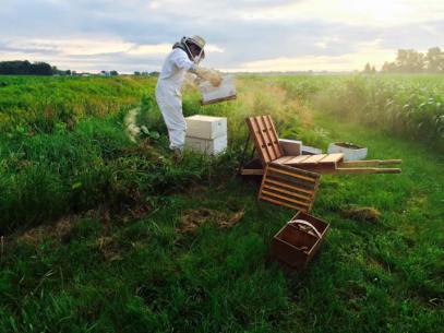 11692570_10100782900772890_1849264705517923084_n